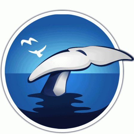 大鱼logo